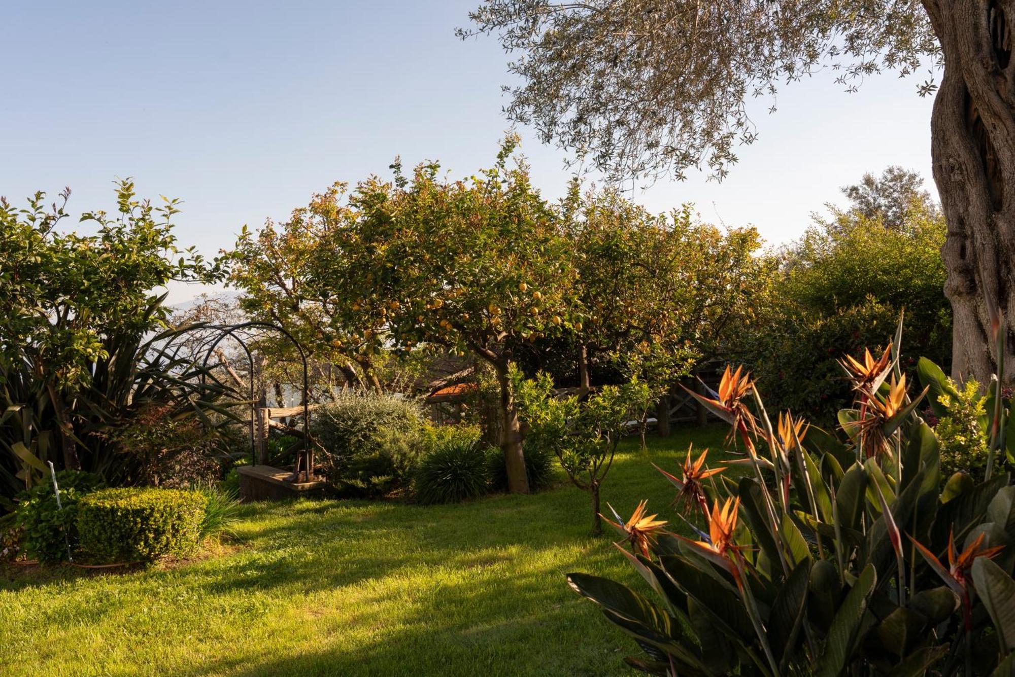 Hotel Relais Palazzo Del Barone (Adults Only) Sorrent Exterior foto